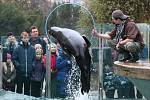 Program v ústecké zoologické zahradě. Archivní foto