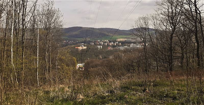 Střížovický vrch v Ústí nad Labem v různých částech roku. Tento snímek je z 30. března 2021.