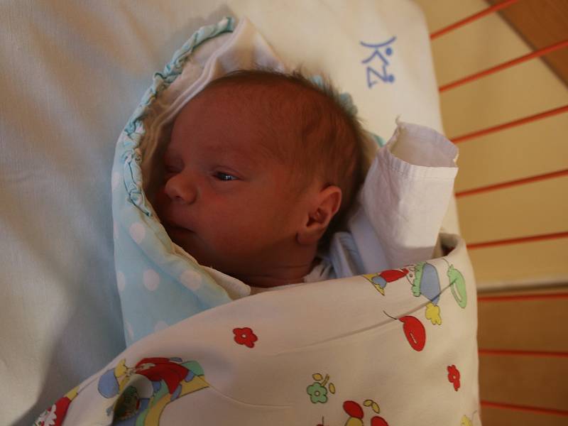 Josef Lokšan se narodil Simoně Pudilové z Ústí nad Labem 21. března v 17.36 hod. v ústecké porodnici. Měřil 47 cm a vážil 2,95 kg