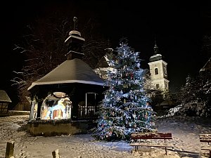 Vánoční strom v Zubrnicích ovládl okresní anketu Vánoční strom Deníku 2023. Postoupil tak do krajské fáze hlasování. To startuje v úterý 12. prosince ve 20.00.