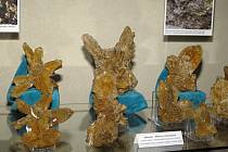 Na zámku v Klášterci nad Ohří v těchto dnech instalují exponáty ze soukromých mineralogických sbírek pro jubilejní 20. výstavu minerálů.