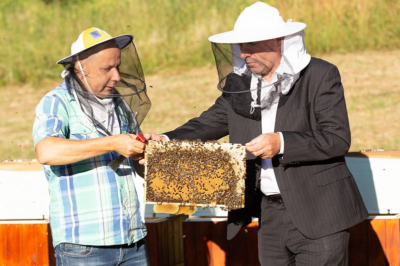 Včelař UJEP Augustin Uváčik