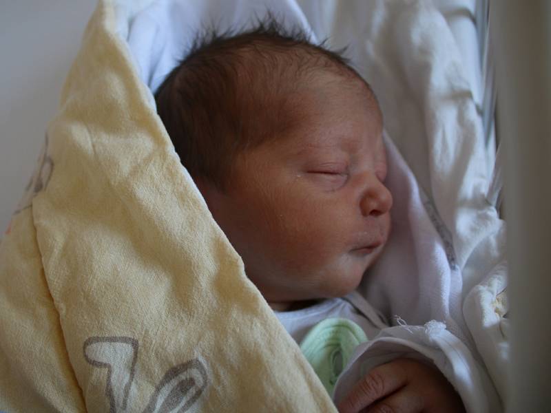 Michael Trnka se narodil v ústecké porodnici 17. 5. 2017 (10.21) Kateřině Trnkové.  Měřil 50 cm, vážil 2,65 kg.