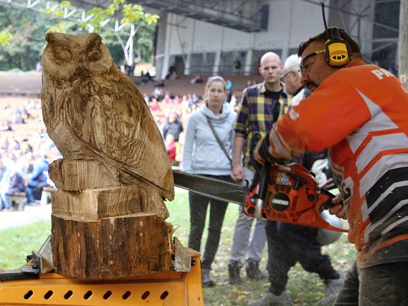 Festival dřeva v ústeckém letním kině