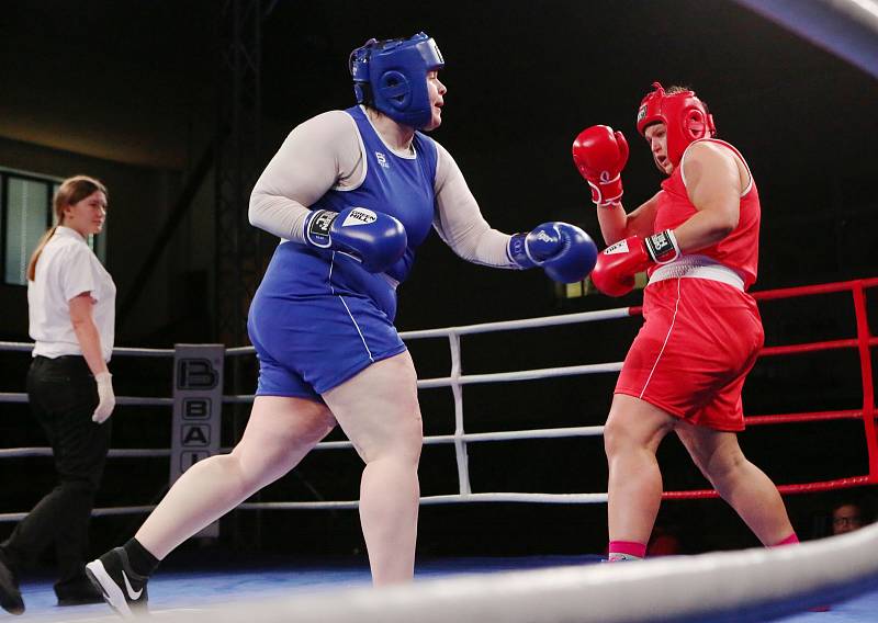 Velká cena Ústí nad Labem v boxu 2019.