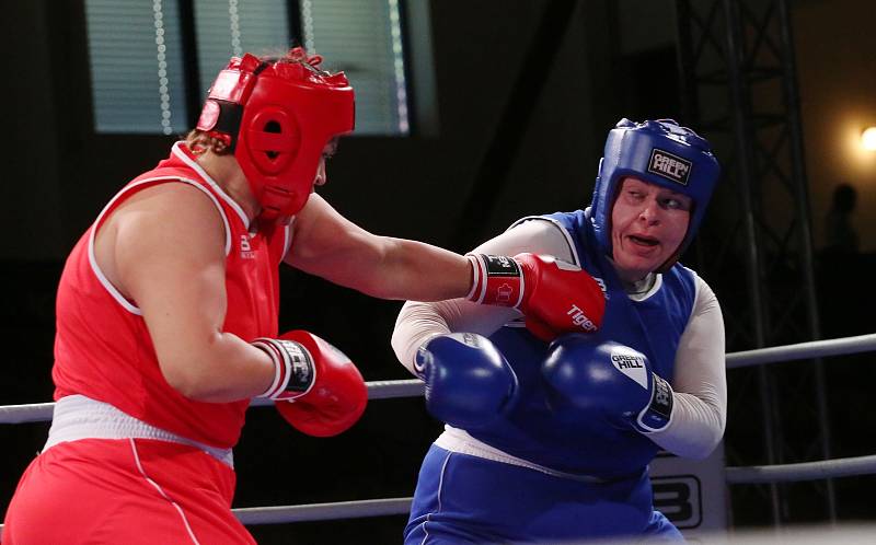 Velká cena Ústí nad Labem v boxu 2019.