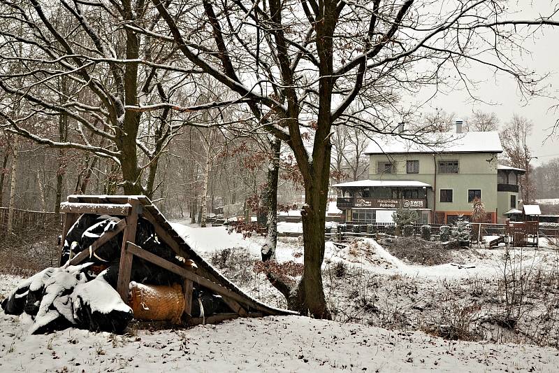 Úterní zdravotní procházka vedla na Střížák.