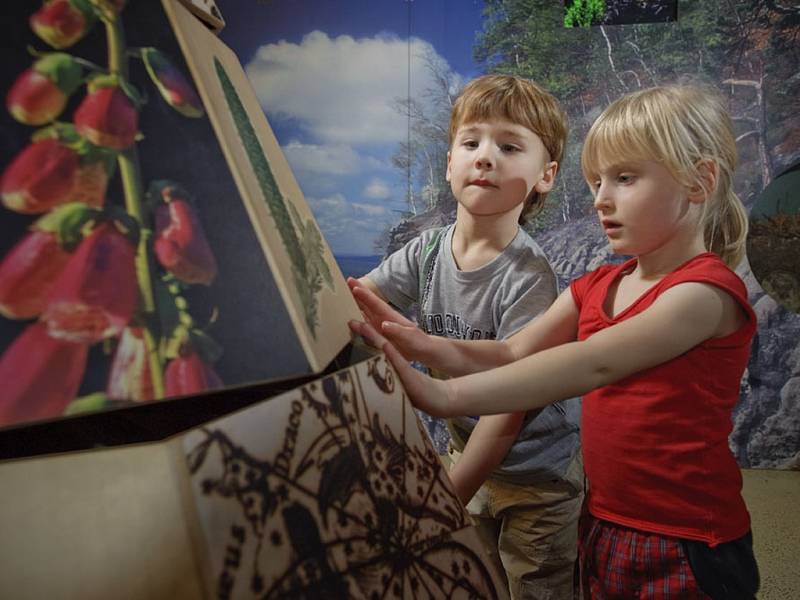 Z interaktivní expozice v Domě Českého Švýcarska v Krásné Lípě se těší hlavně děti.