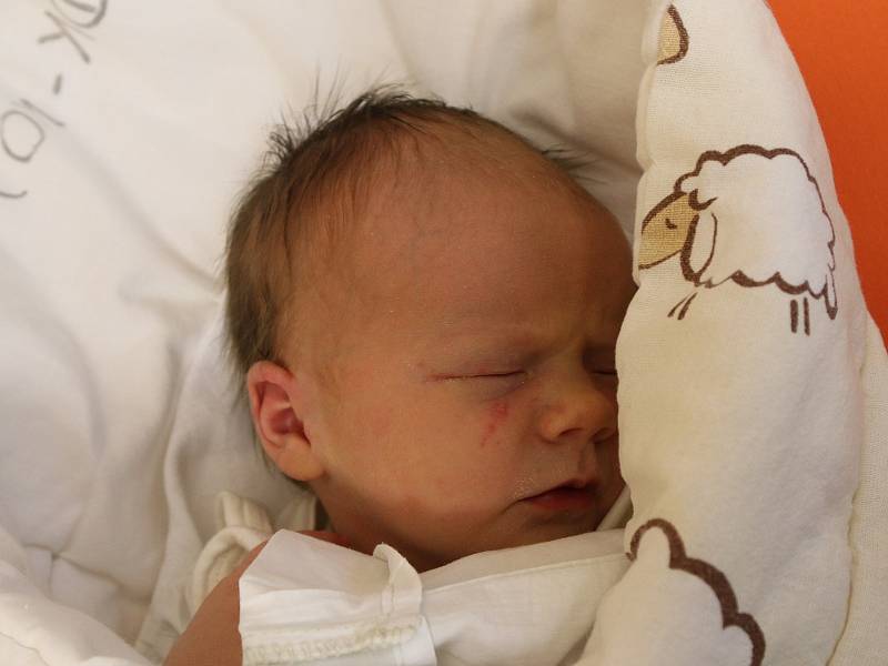 Ema Holešovská se narodila Lindě Holešovské z Chomutova 23. prosince v 8.35 hodin v Ústí nad Labem. Měřila 49 cm, vážila 3,25 kg