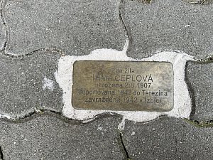 Kameny zmizelých jako památka na zavražděné Židy ze Střekova. Snesly by jemný hadřík a leštidlo, vliv okolního prostředí je na nich už znát.