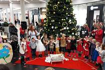 Vánoční vystoupení dětí z Mateřské školy Pomněnka v OC Fórum.