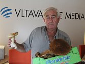 Šest kilo zdravých hub našel houbař z Neštěmic u Rýdeče.