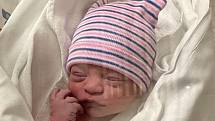 Freya Gregorová se narodila 22. listopadu ve 4.30 hodin rodičům Janě a Milanu Gregorovým. Měřila 46 cm a vážila 2,41 kg.