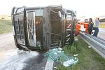 Řidič maďarského kamionu převážejícího téměř 400 selat zřejmě nezvládl ve velké rychlosti řízení a na kruhovém objezdu převrátil kamion na bok.
