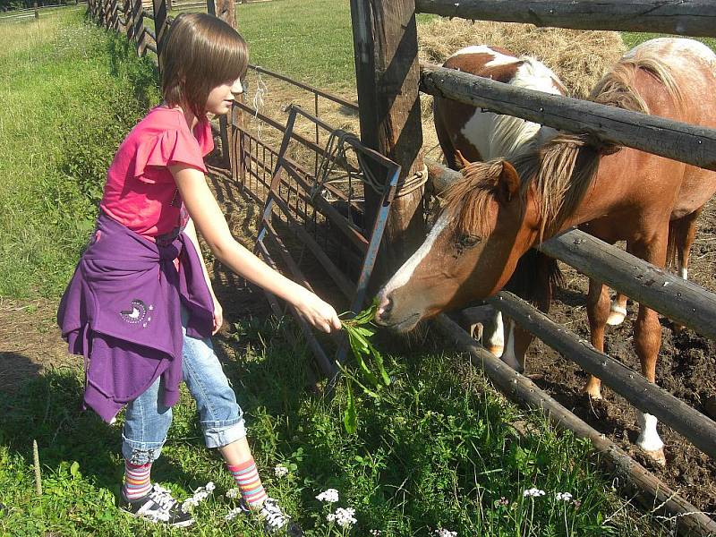 Slavošovská ekofarma láká i na minizoo.