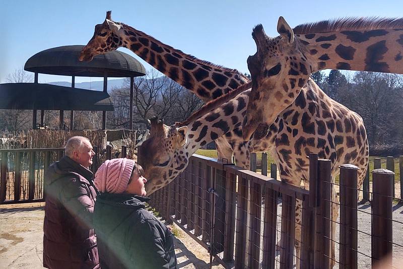 Výlet do zoologické zahrady