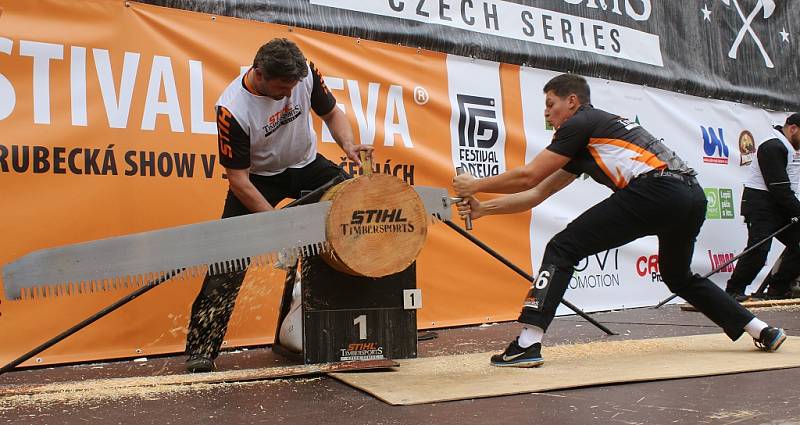 Festival dřeva v ústeckém letním kině