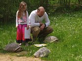 U příležitosti Světového dne želv otevřela ústecká zoo výběh pro tři samečky želvy ostruhaté. Pokřtili je polárníci a dostali jména Pankrác, Servác, Bonifác. 