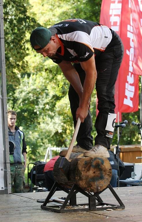 Festival dřeva.