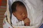Daniel Huynh se narodil Petře Tiché z Ústí nad Labem 30.ledna v 16.08 hod. v ústecké porodnici. Měřil 50 cm a vážil 3,23 kg