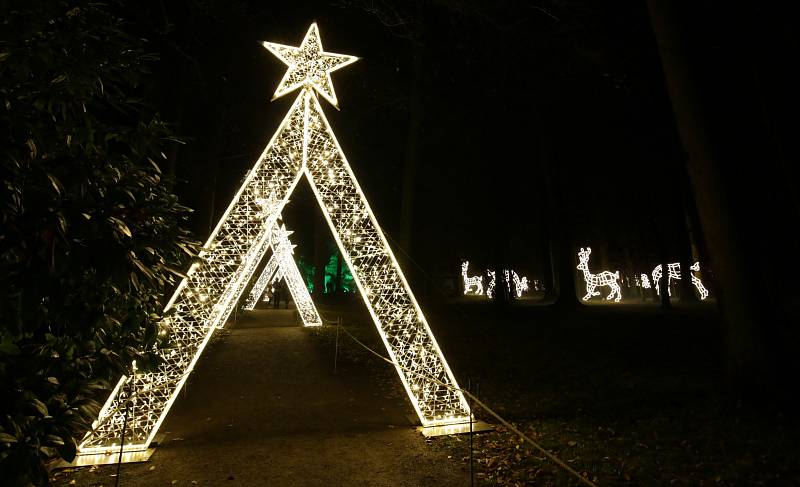 Zahrady zámku Pillnitz lákají na překrásnou vánoční trasu nazdobenou desetitisíci světly.