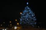 Vánoční stromy vyrostly na mnoha místech Ústecka. Tento je na v Krásném Březně.