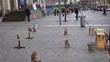 Na Mírovém náměstí se představila stanice handicapovaných živočichů z Dubé na Českolipsku. 