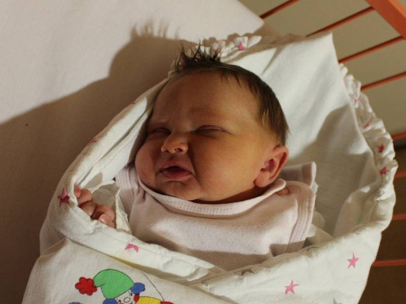 Šárka Pochobradská se narodila v ústecké porodnici 21.11.2016 (8.19) Jitce Pochobradské. Měřila 51 cm, vážila 3,66 kg.