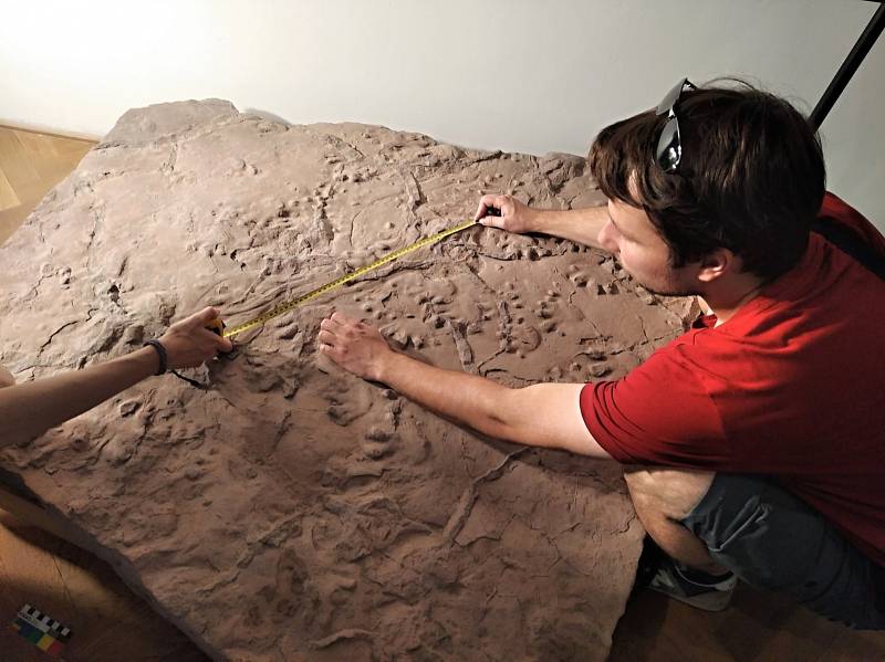 Exponát na výstavě „Písky známé i neznámé“ (zapůjčený ze sbírek Národního muzea) v pondělí zdokumentovali kolegové muzejníci (specializací paleontologové) z MZM v Brně, kteří se věnují problematice fosilních stop.