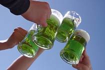 Na Zelený čtvrtek Zelené pivo.