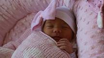 Leontýnka Flígrová se narodila Kristýně Flígrové z Libouchce 28. srpna v 0.39 hod. v ústecké porodnici. Měřila 48 cm a vážila 2.85 kg.