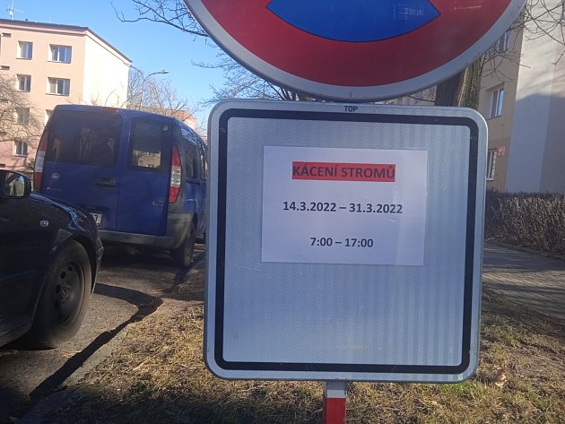 Před základní školou Vojnovičova v Ústí nad Labem se má vykácet alej padesát let starých lísek tureckých. Některým místním lidem se to nelíbí podepisují petici. Kácet se mělo začít v pondělí 14. března, nakonec to ČIŽP pozastavila.