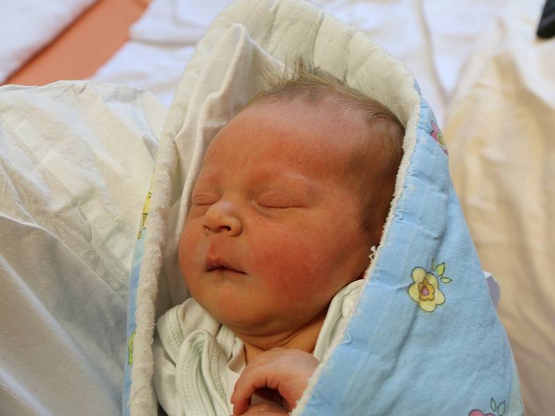 Pavel Zdvořák se narodil Petře Zdvořákové z Oseka 2. září ve 4.37 hodin v Ústí nad Labem. Měřil 53 cm, vážil 3,95 kg