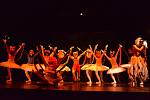Světovou premiéru baletu Kočičiny chystá na sobotu 24. listopadu od 17.00 severočeské Baletní studio Regina.