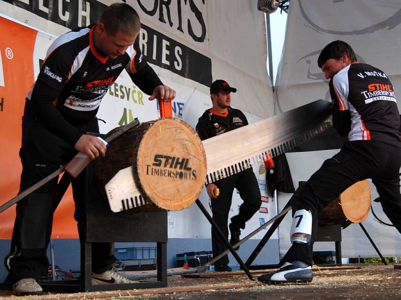 Festival dřeva v ústeckém letním kině.