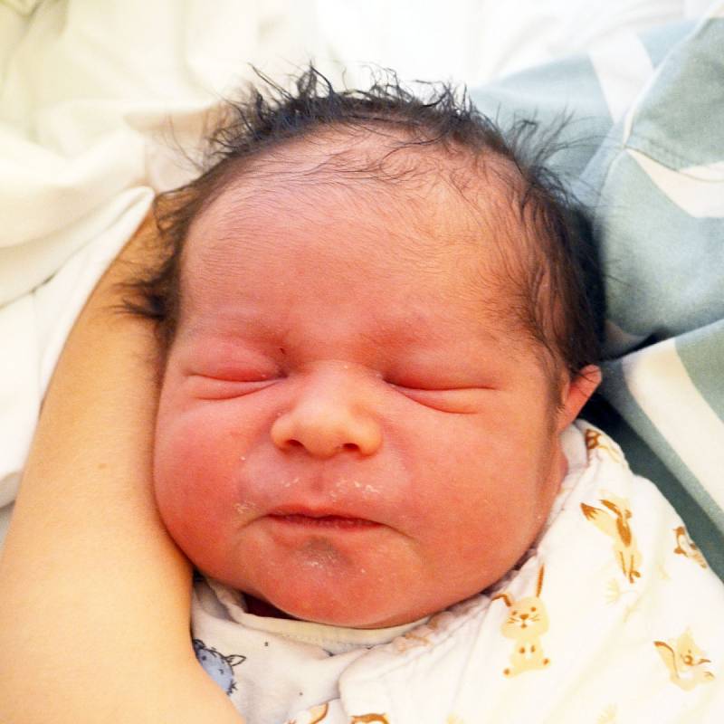 Samuel Hamala se narodil 22. listopadu ve 12.04 hodin mamince Andree Hamala z Bíliny. Měřil 50 cm a vážil 4,00 kg.