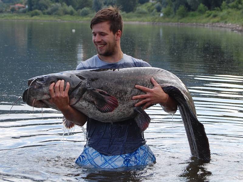 Mladý rybář Jiří Junek chytil obřího sumce, měřil více jak dva metry.