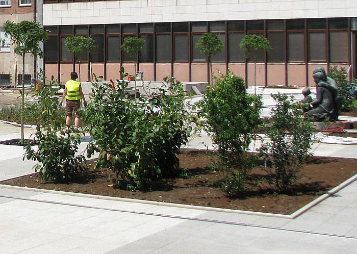 Do srpna by mělo Ústí nad Labem představit svým obyvatelům zrenovované magistrátní atrium. Přitom se tak mělo stát až v říjnu. Celá dvorana doznala mnoha změn. Od zeleně přes lavičky, časomíru i pódium pro kulturu umístěné nad fontánou. 