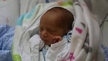 Josef Korej se narodil Sabině Korejové z Ústí nad Labem 28. srpna v 11.00 hod. v ústecké porodnici. Měřil 43 cm a vážil 2,2 kg.