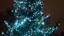 Vánoční strom v centrálním parku na Severní Terase v Ústí nad Labem