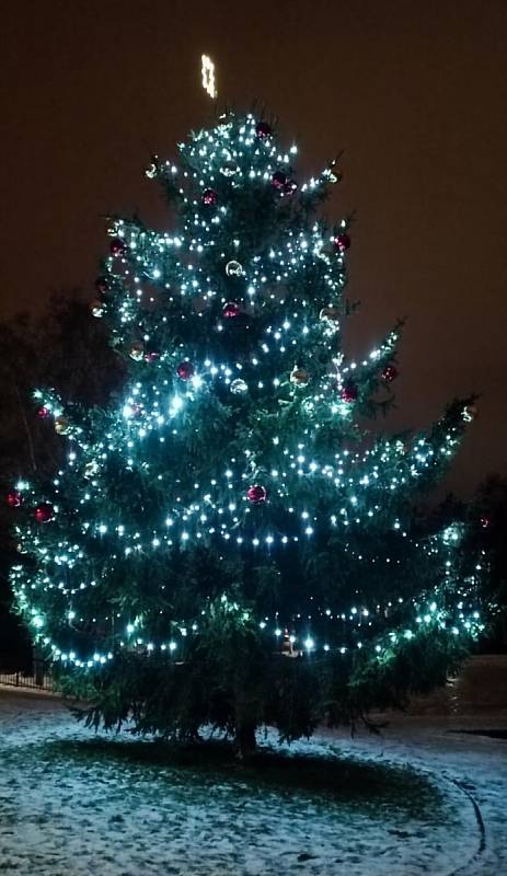 Vánoční strom v centrálním parku na Severní Terase v Ústí nad Labem