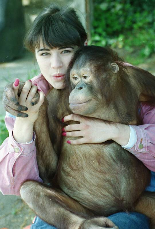 Ústecký orangutan a poslední Miss Československa Pavlína Babůrková v roce 1992.