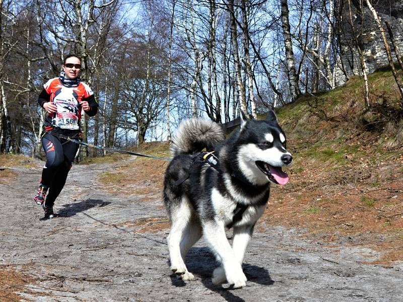 Půlmaraton v Tiských stěnách.