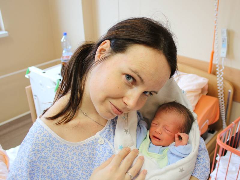 Štěpánka Hajduková se narodila  v ústecké porodnici 6.3. 2017 (16.09) Šárce Hajdukové. Měřila 46 cm, vážila 2,25 kg.