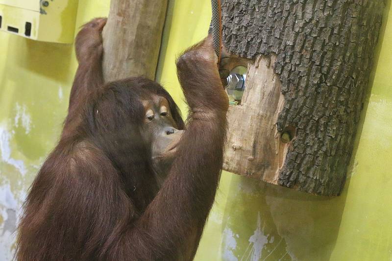 Den plný chuti v Zoo Ústí nad Labem.