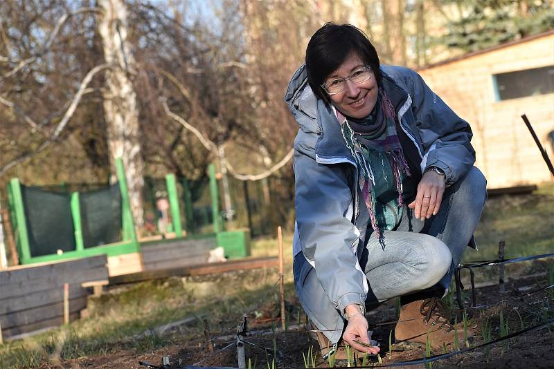 Koordinátorka zahrady Marta Šašková.