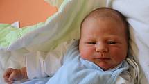 Vítek Provazník se narodil Kateřině Provazníkové z Ústí nad Labem 18. srpna v 13.13 hod. v ústecké porodnici. Měřil 53 cm a vážil 4,1 kg.