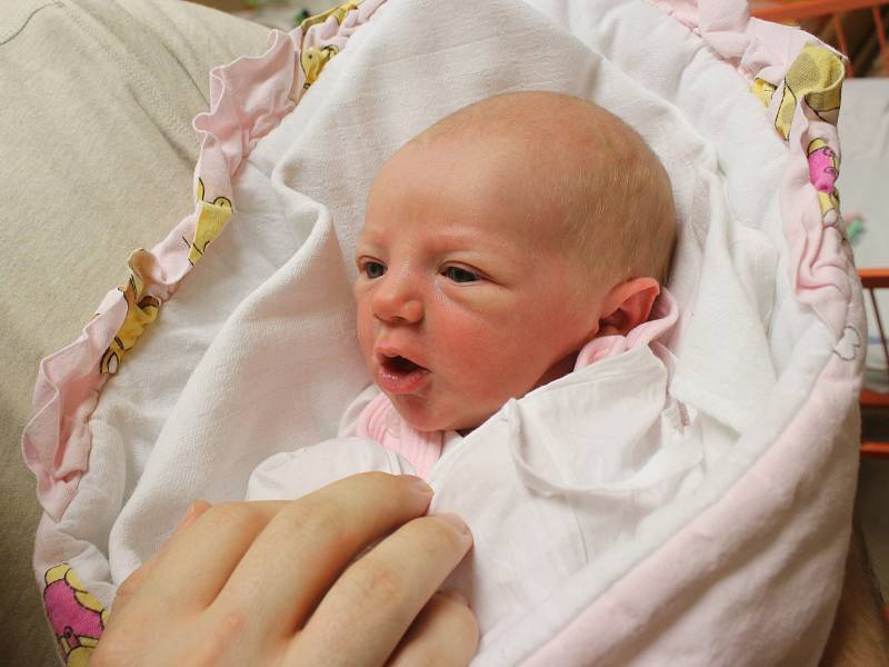 Julie Holíková se narodila Lence Holíkové a Luboši Holíkovi z Ústí nad Labem 5. prosince v 16.34 hod. v ústecké porodnici. Měřila 48 cm a vážila 3,36 kg