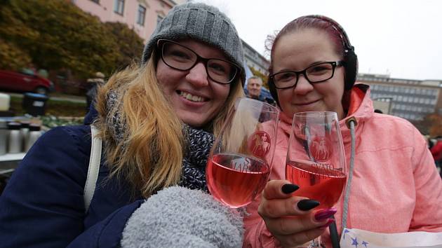 Slavnosti svatomartinského vína v Ústí nad Labem