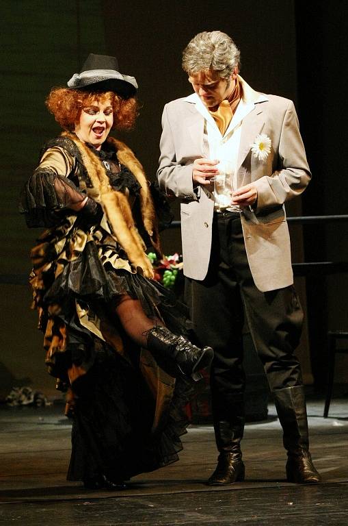 Hlavní role v operetě Vinobraní hrají tenor Jaroslav Kovács a Anna Klamo, sólistka Severočeského divadla opery a baletu, která za roli kněžky Lakmé získala Cenu Thálie 2011.